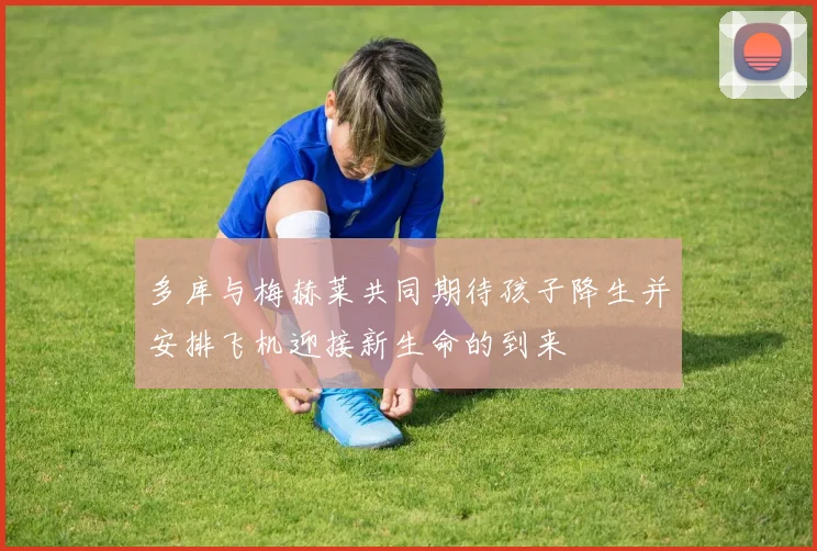 多库与梅赫莱共同期待孩子降生并安排飞机迎接新生命的到来